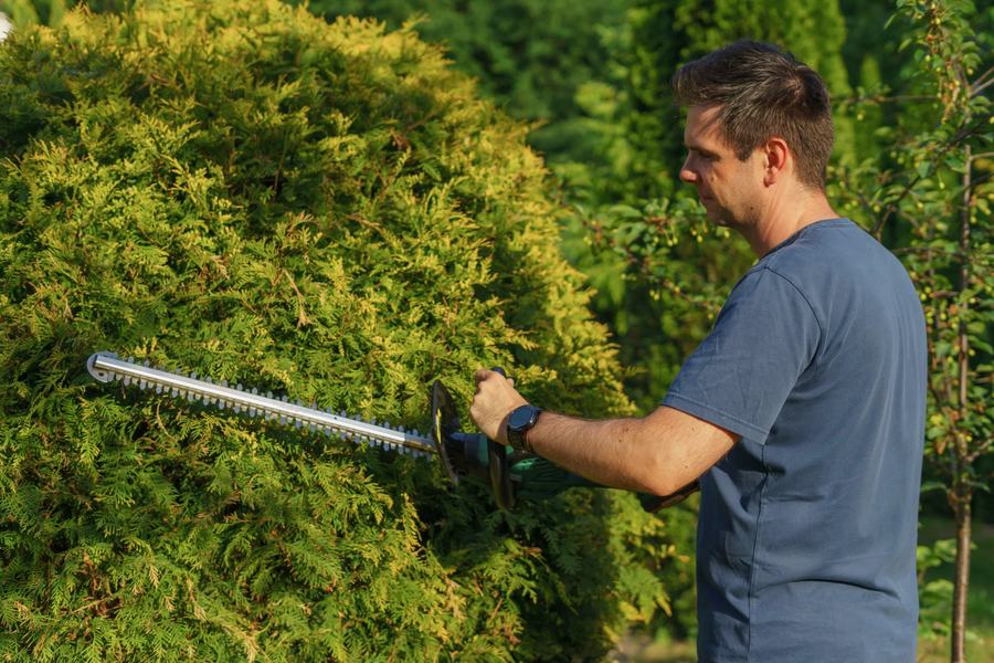 Landscaper trimming a hedge on a job